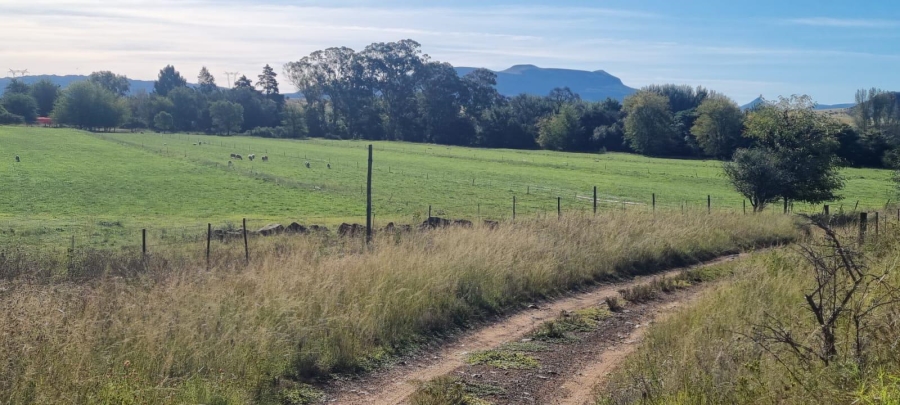 4 Bedroom Property for Sale in Queenstown Rural Eastern Cape